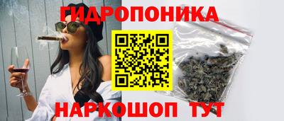прущие грибы Гусь-Хрустальный
