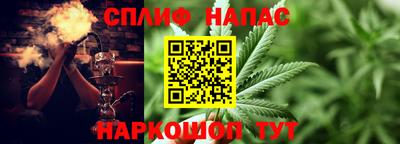 PSILOCYBIN Гусев