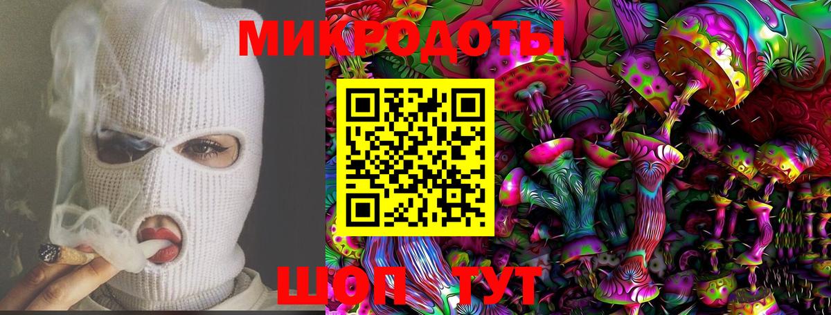 Галлюциногенные грибы Psilocybe Мурманск